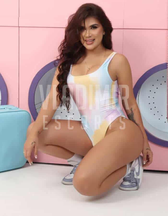 Catica - Gallery Image 3